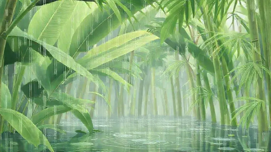 雨打芭蕉 - 69视频竹影清风影像