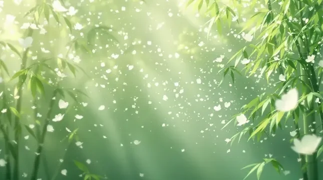 竹海晨雾 - 69视频竹影清风影像